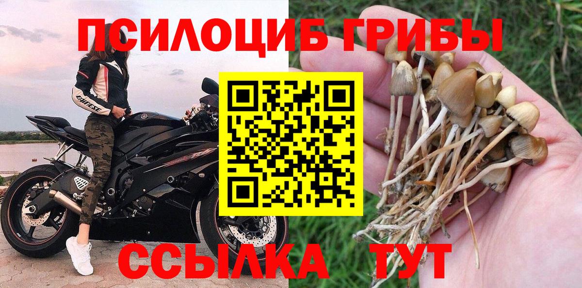 Ступино  Галлюциногенные грибы GOLDEN TEACHER  Вход с VPN 