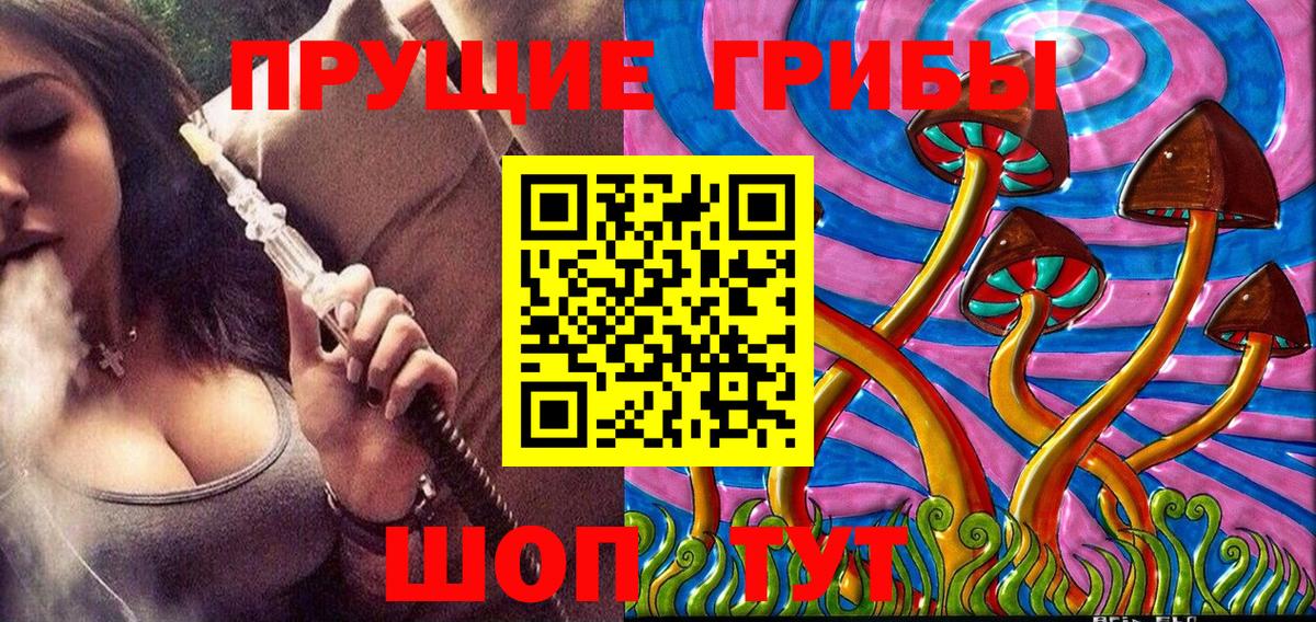 Псилоцибиновые грибы Cubensis Ступино